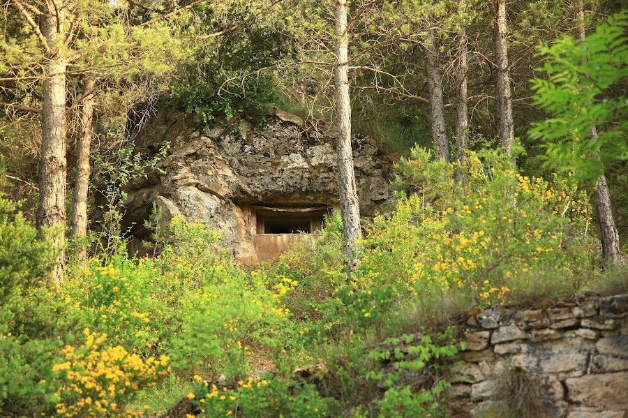 Bunkers de Martinet I Montellá