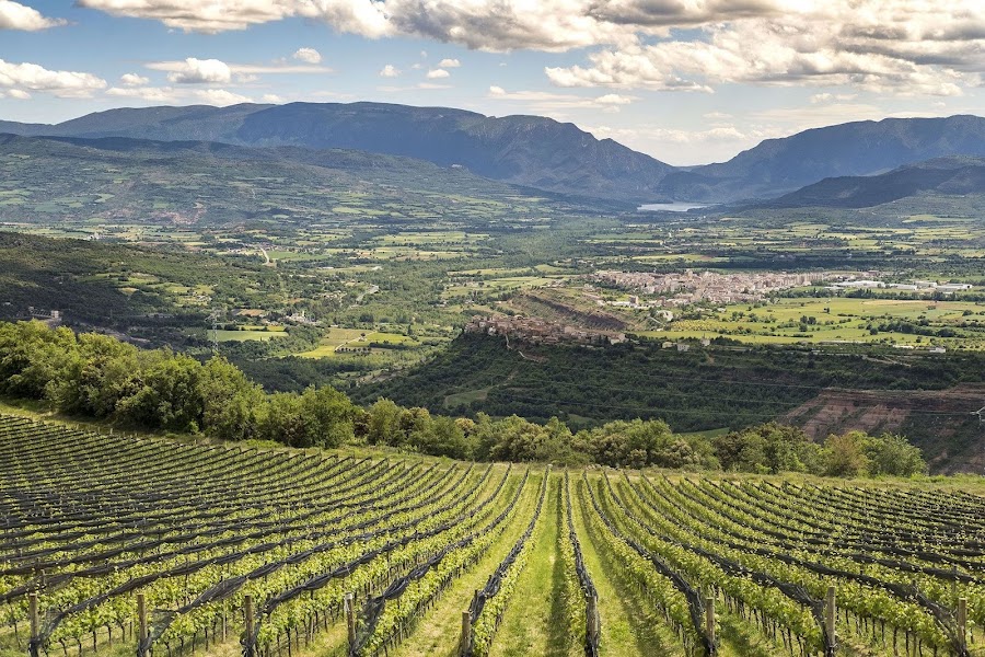 Castell d