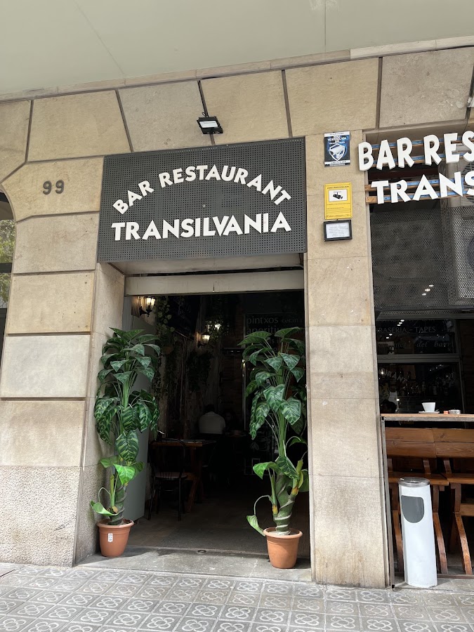 Transilvania
