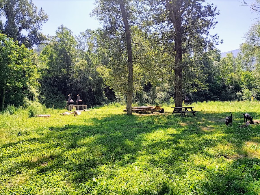 Zona de picnic con barbacoas